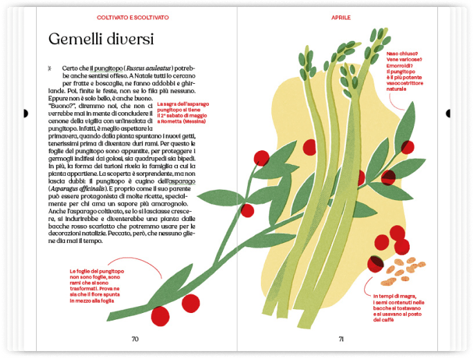 Barbanera Almanacco 2025 - un anno di felicità